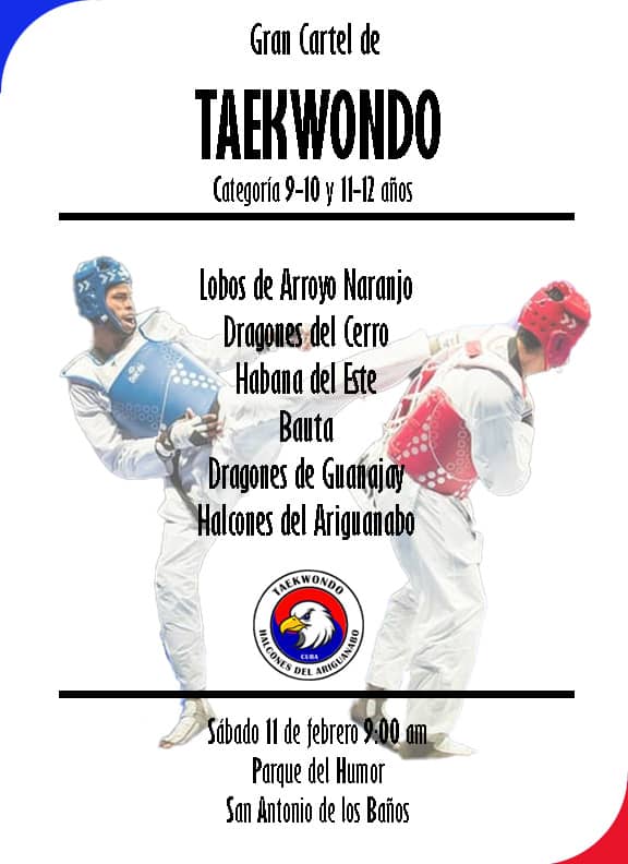 Cartel de Taekwondo Sábado 11 9:00 am, Parque del Humor