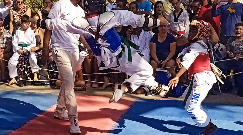 Cartel de Taekwondo, Parque del Humor, San Antonio de los Baños Fotos del autor