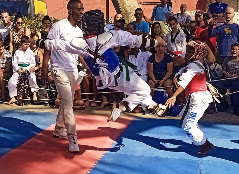 Cartel de Taekwondo, Parque del Humor, San Antonio de los Baños Fotos del autor