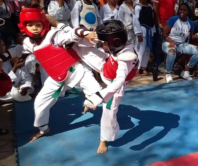 Cartel de Taekwondo, Parque del Humor, San Antonio de los Baños Fotos del autor