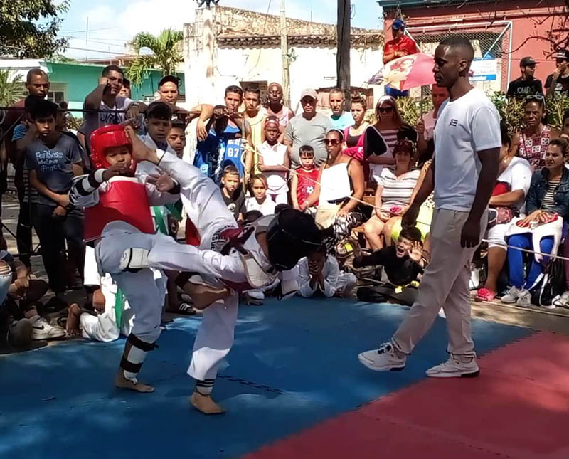 Cartel de Taekwondo, Parque del Humor, San Antonio de los Baños Fotos del autor