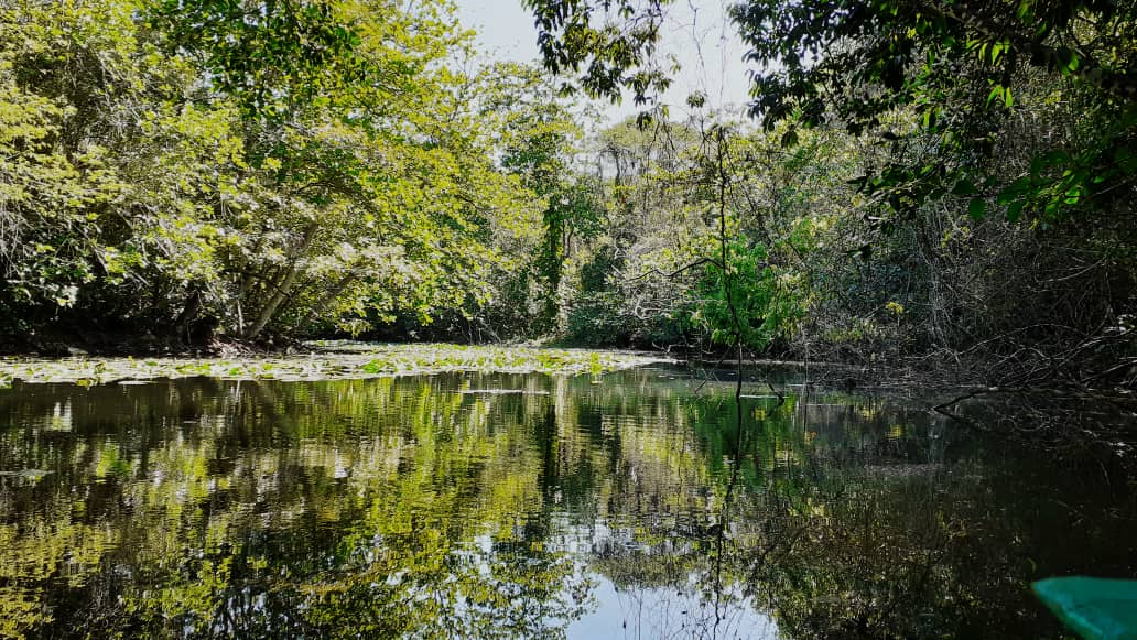 Río Ariguanabo