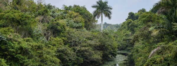 Río Ariguanabo. Foto: Archivos