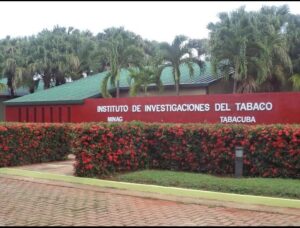 Por la calidad del tabaco cubano a nivel mundial