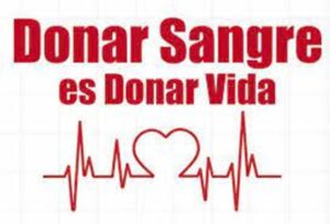 La fuerza de la solidaridad