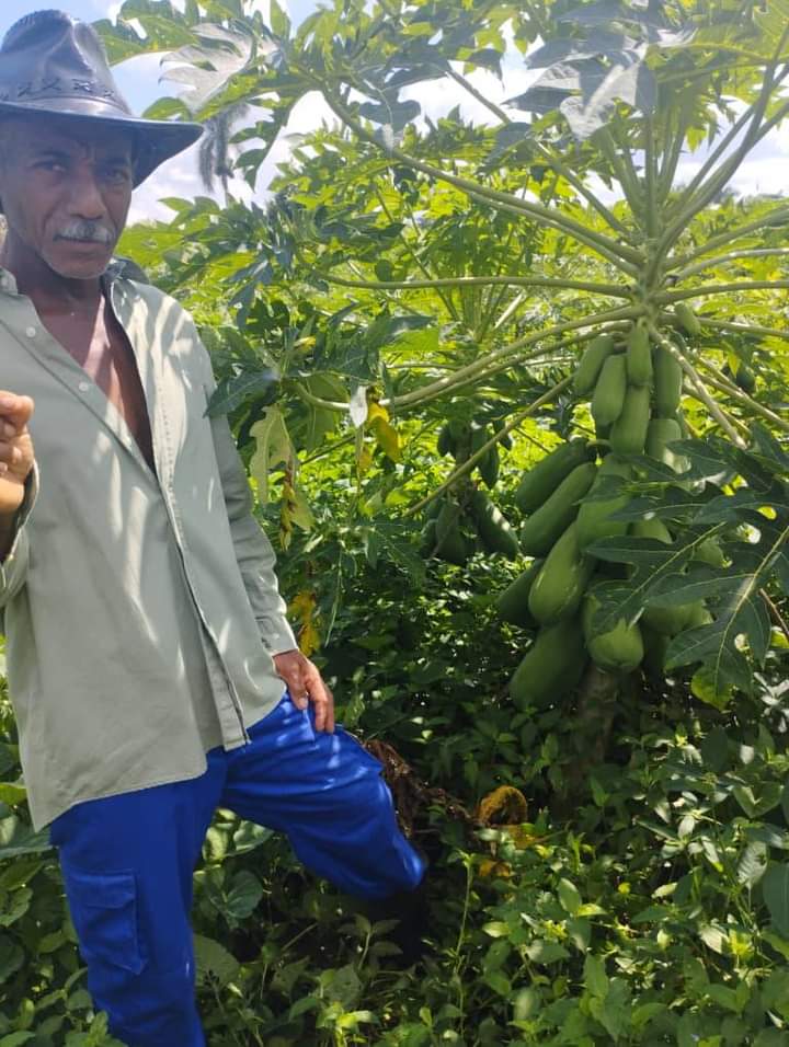 Productor Nelson Valido, de la finca Buena Vista en San Cristóbal.