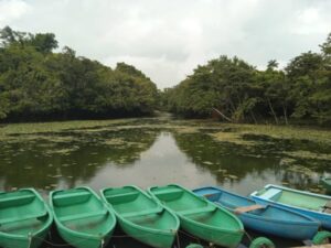 El día internacional de las montañas y la joya natural del Ariguanabo