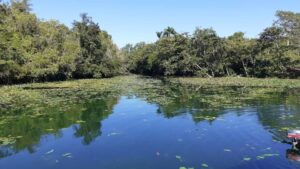 El equilibrio que sostiene la vida