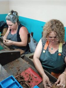 Resultados productivos en fábrica de tabacos