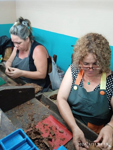 Trabajadoras de la fábrica de tabaco El Ariguanabo. Foto: Eleanet Vidal
