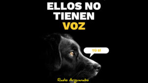 El deber ciudadano de respetar y cuidar a los animales