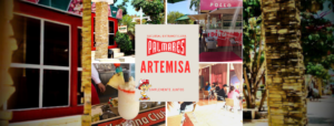 Palmares Artemisa; por un mayor desarrollo del turismo y la recreación en la provincia