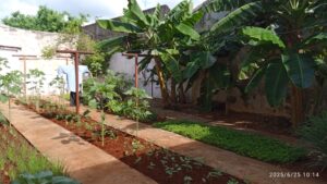 Institución de la primera infancia contribuye a la soberanía alimentaria