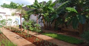 Del huerto a la cocina para la nutrición de los niños