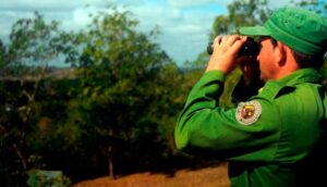 Finaliza campaña contra incendios 2024-2025