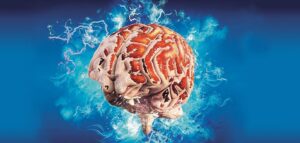 Accionan para prevenir enfermedades cerebrovasculares