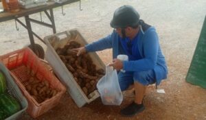 Combaten ilegalidades en el Ariguanabo
