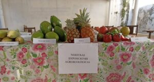 Aplican las ciencias formas productivas para el desarrollo agropecuario