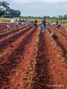 Inicia Campaña de frío 2025-2026 en Alquízar