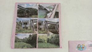 Medios utilizados para promover la educación ambiental en los niños del círculo infantil "Semillitas del 2000".