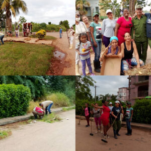 Labores ante las arbovirosis en el Ariguanabo