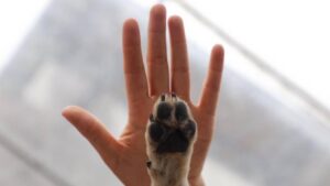 Comunidad consciente y respetuosa