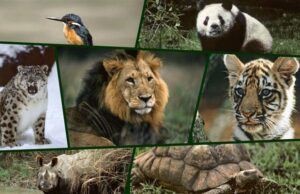 Un llamado urgente a actuar con conciencia