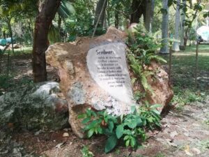 La naturaleza en la obra de José Martí