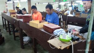 Fernando y el arte de no rendirse