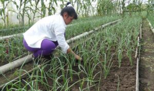 Para alimentarnos mejor