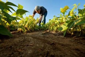 Agricultura responsable a favor de los suelos