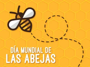Danza de polinizadores: Celebrando el día mundial de las abejas