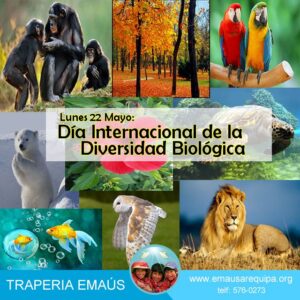 Biodiversidad: El tejido invisible que sostiene nuestra existencia
