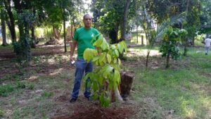 Naturaleza e historia juntas de la mano