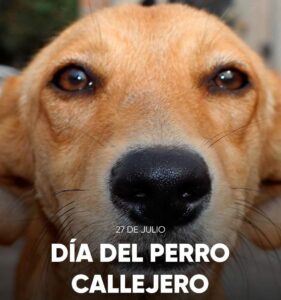 Un llamado a la empatía