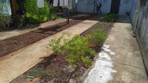 Alimentos naturales desde edades tempranas 