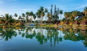 El oasis de la tierra
