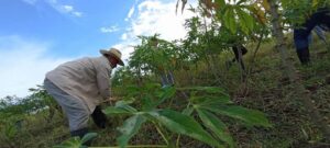 Las sanciones estadounidenses impactan en las transformaciones económicas