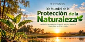 Conciencia ambiental desde edades tempranas
